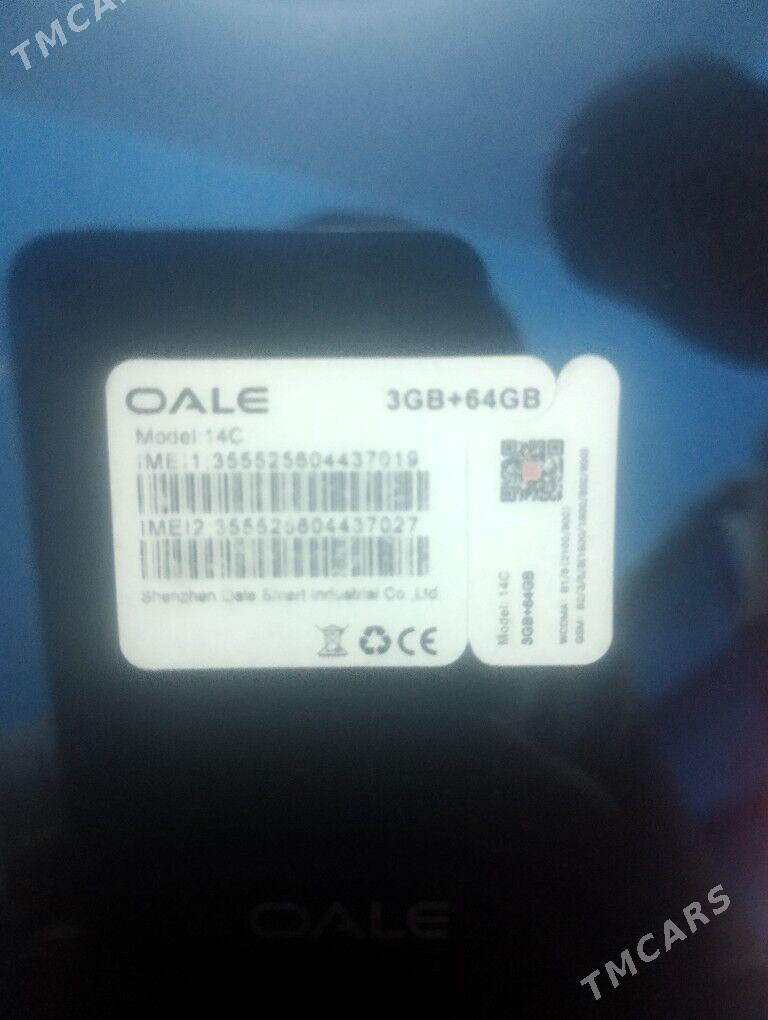 OALE 14C - Daşoguz - img 3