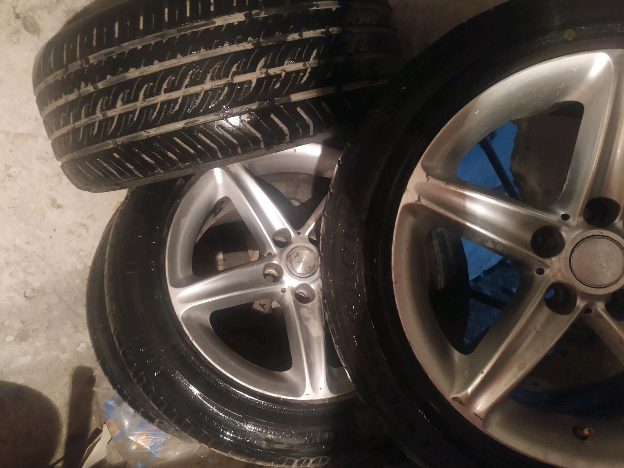 диски diskalar tigerler 1 500 TMT - Mary - img 3