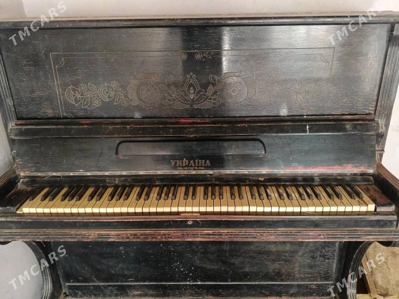 piyanina - Gökdepe - img 2