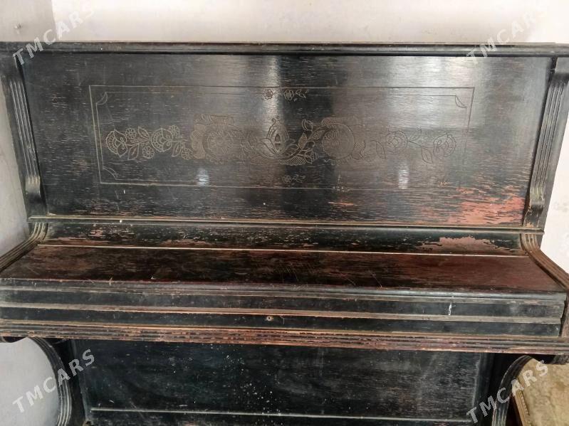 piyanina - Gökdepe - img 3