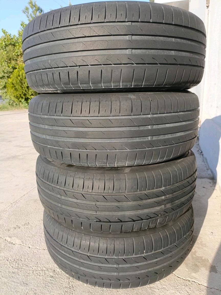 Awyryon disga 17 morda 3 200 TMT - Bedew - img 2