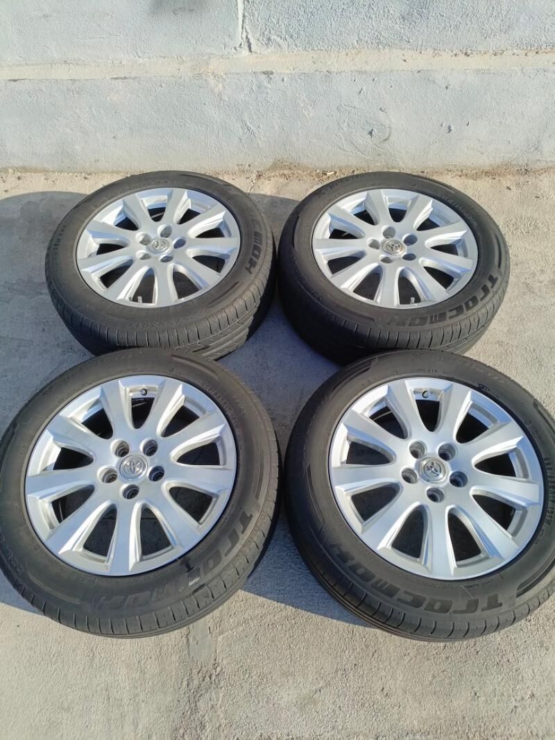 Awyryon disga 17 morda 3 200 TMT - Bedew - img 3