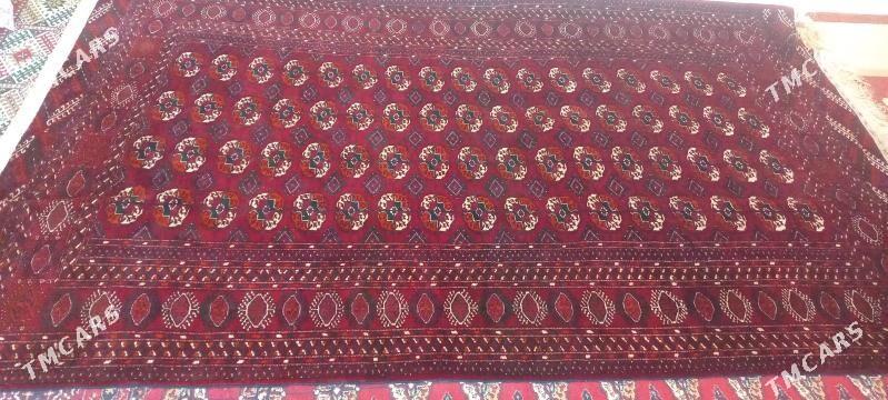 El haly - Hitrowka - img 2