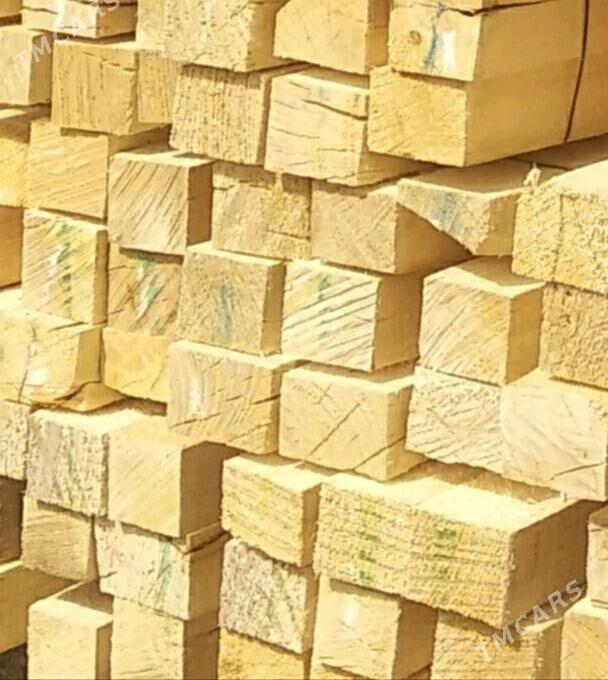 Agaç reyke - Aşgabat - img 1