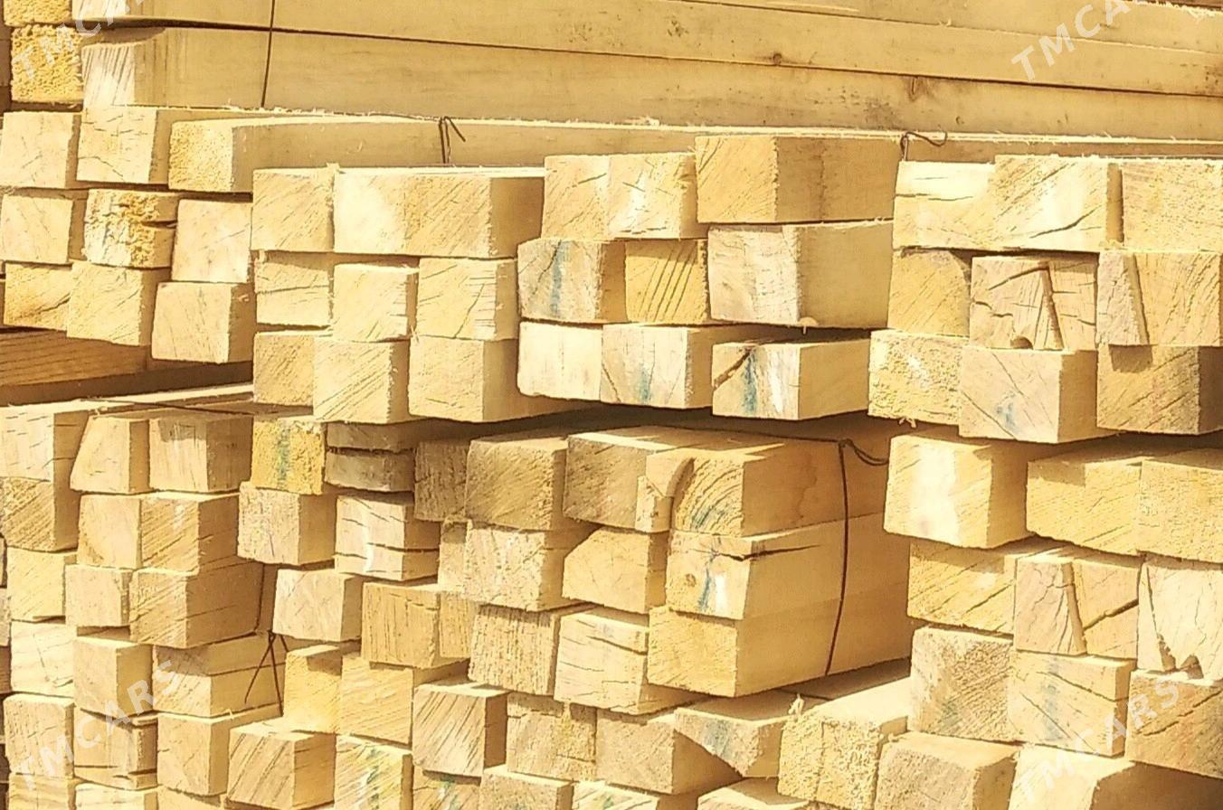 Agaç reyke - Aşgabat - img 2