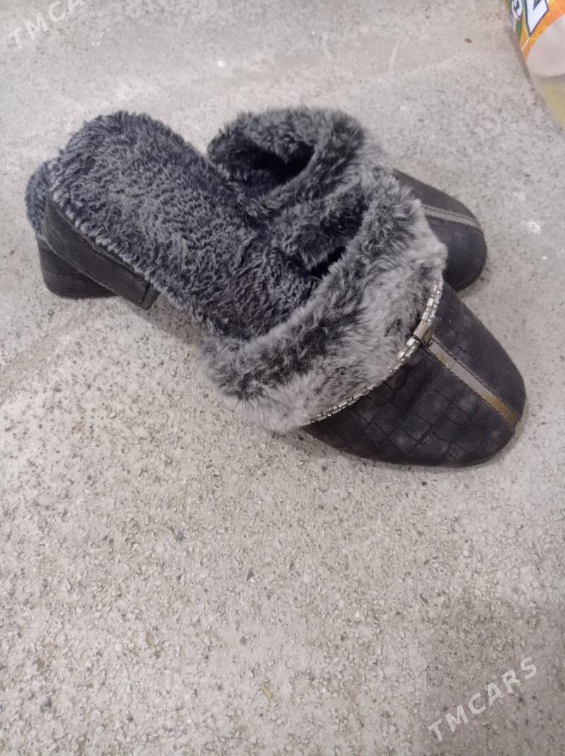 şypbyk - Änew - img 2