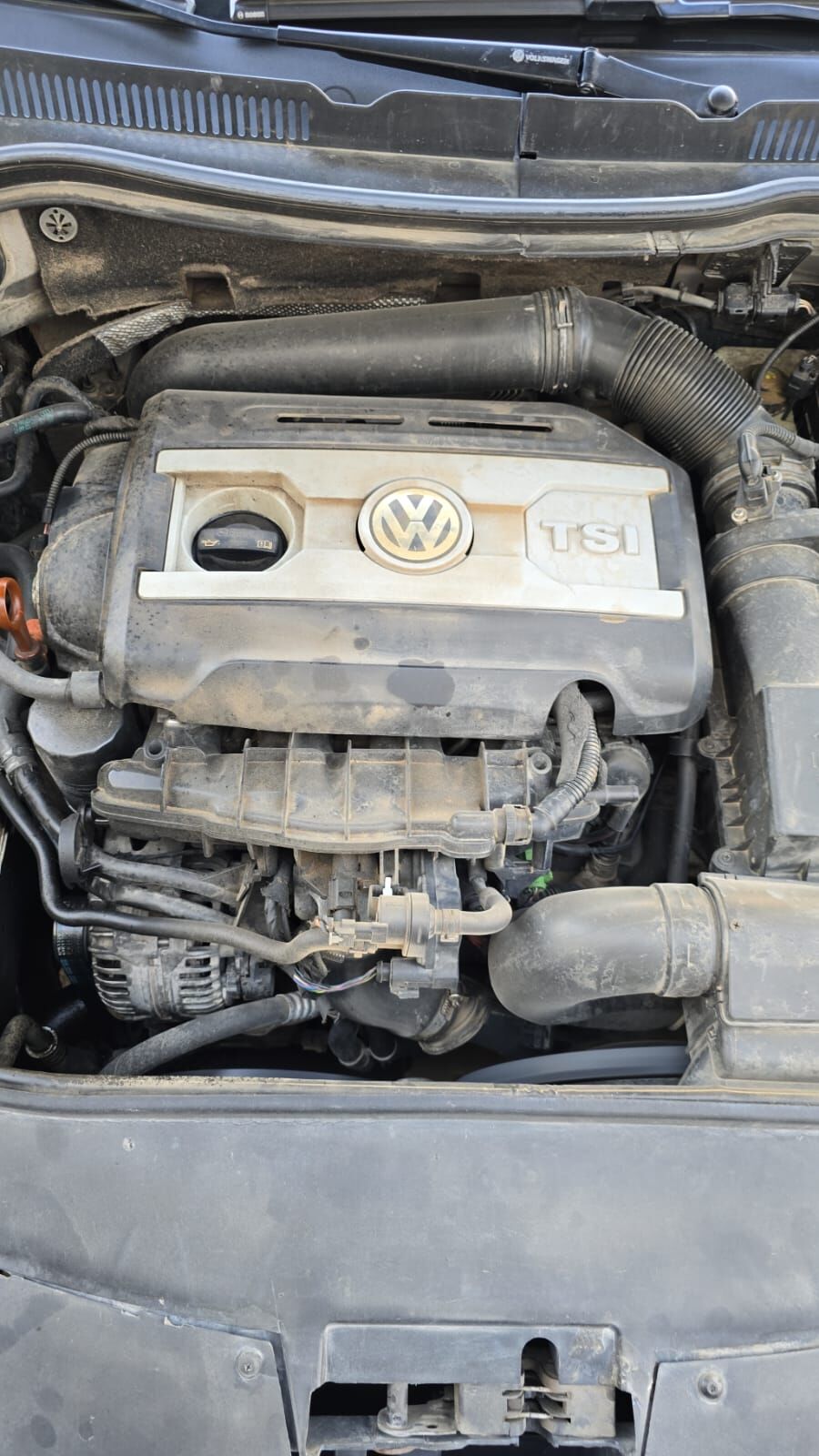 Audi Volkswagen Motorlar 20 000 TMT - Bedew - img 4