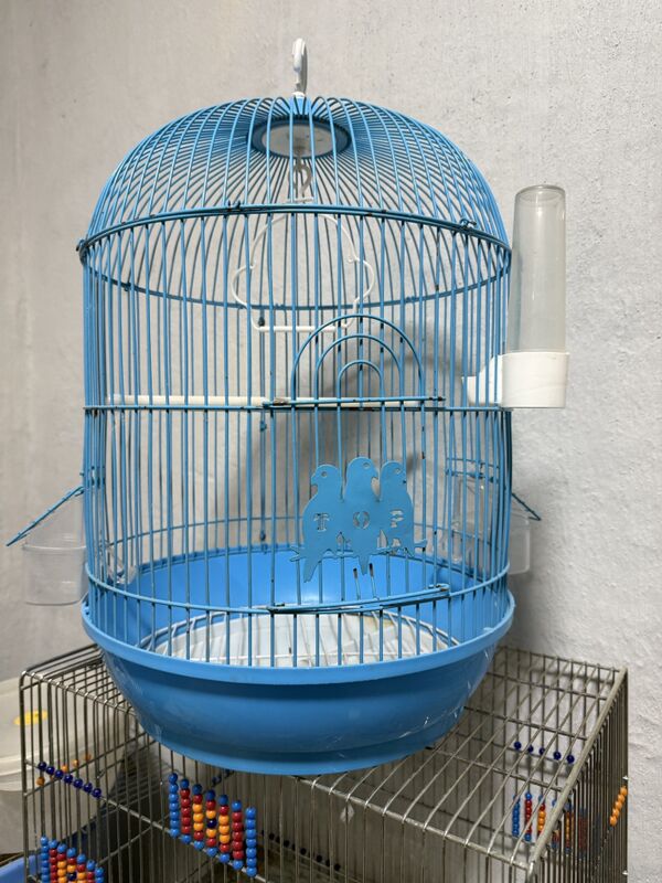 kletka - Hitrowka - img 1