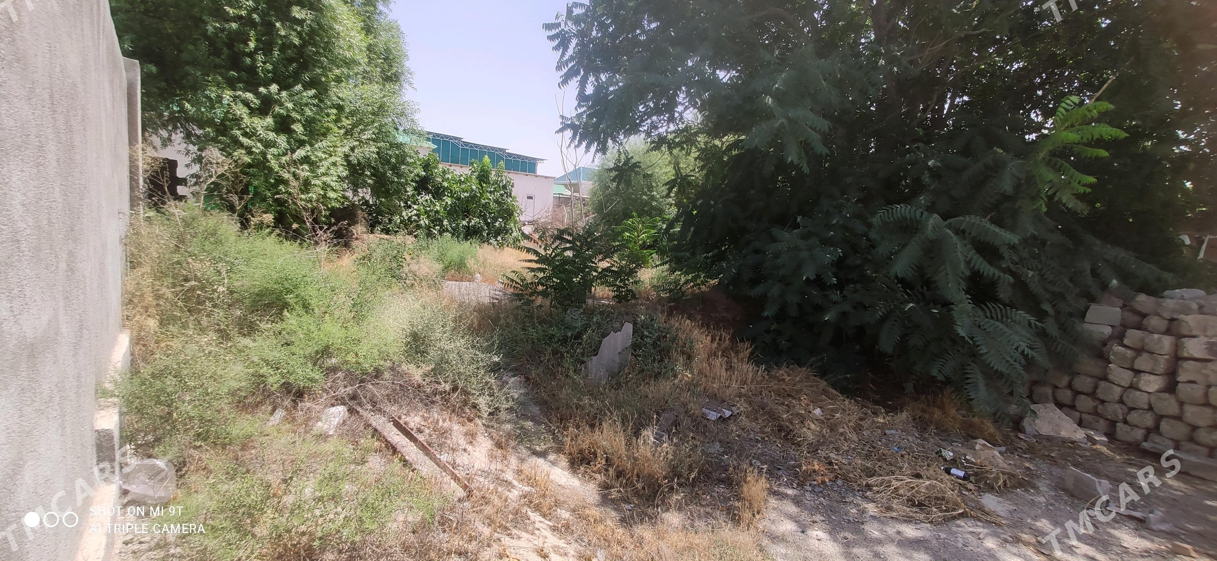 Satlyk jaý - Gökje - img 3