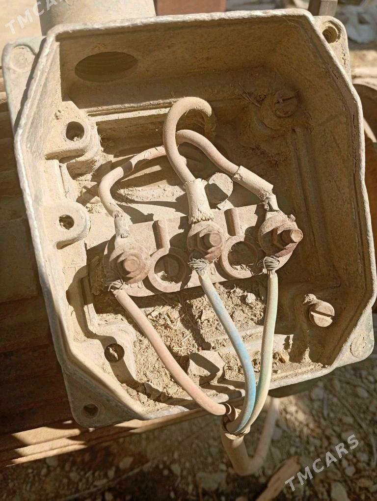 Pilogramma - Magtymguly - img 3