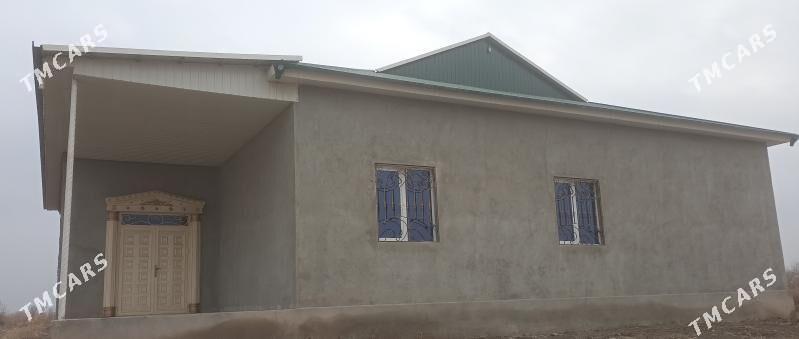 jay  Maskwa salhoz - Köneürgenç - img 5