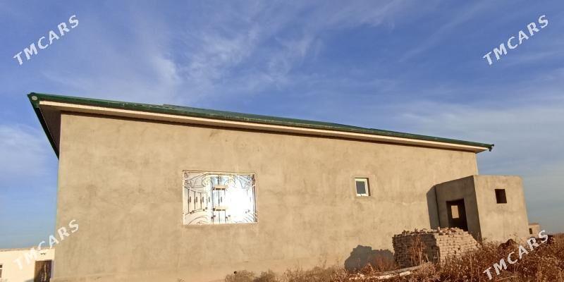 jay  Maskwa salhoz - Köneürgenç - img 2