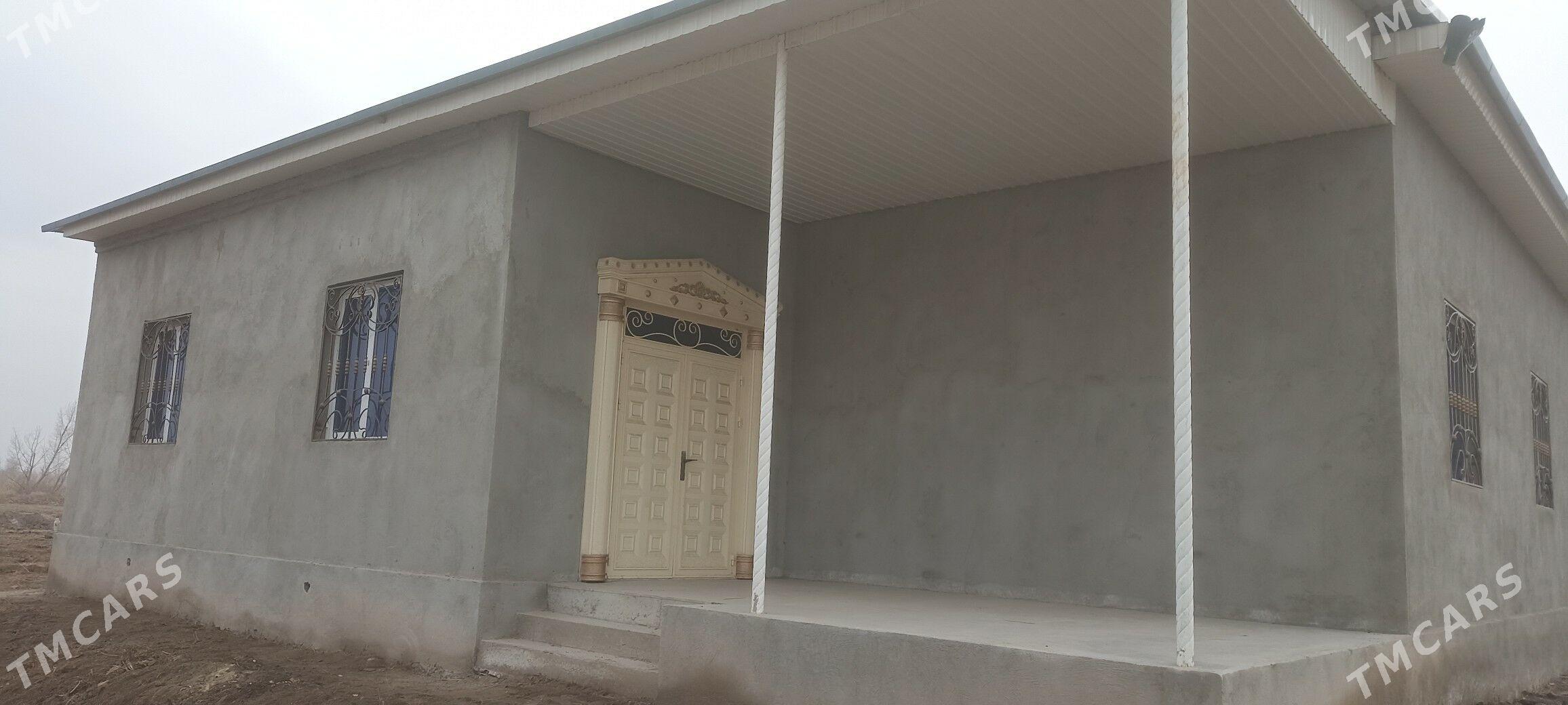 jay  Maskwa salhoz - Köneürgenç - img 4