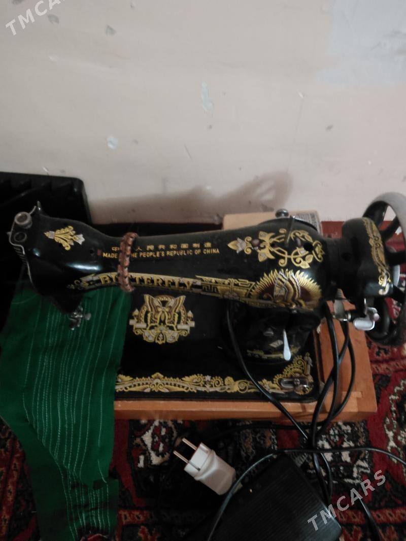 gara kele - Mary - img 1