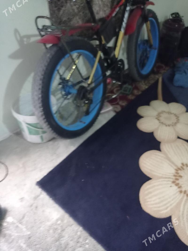 patca tekerli tigir - Hitrowka - img 3