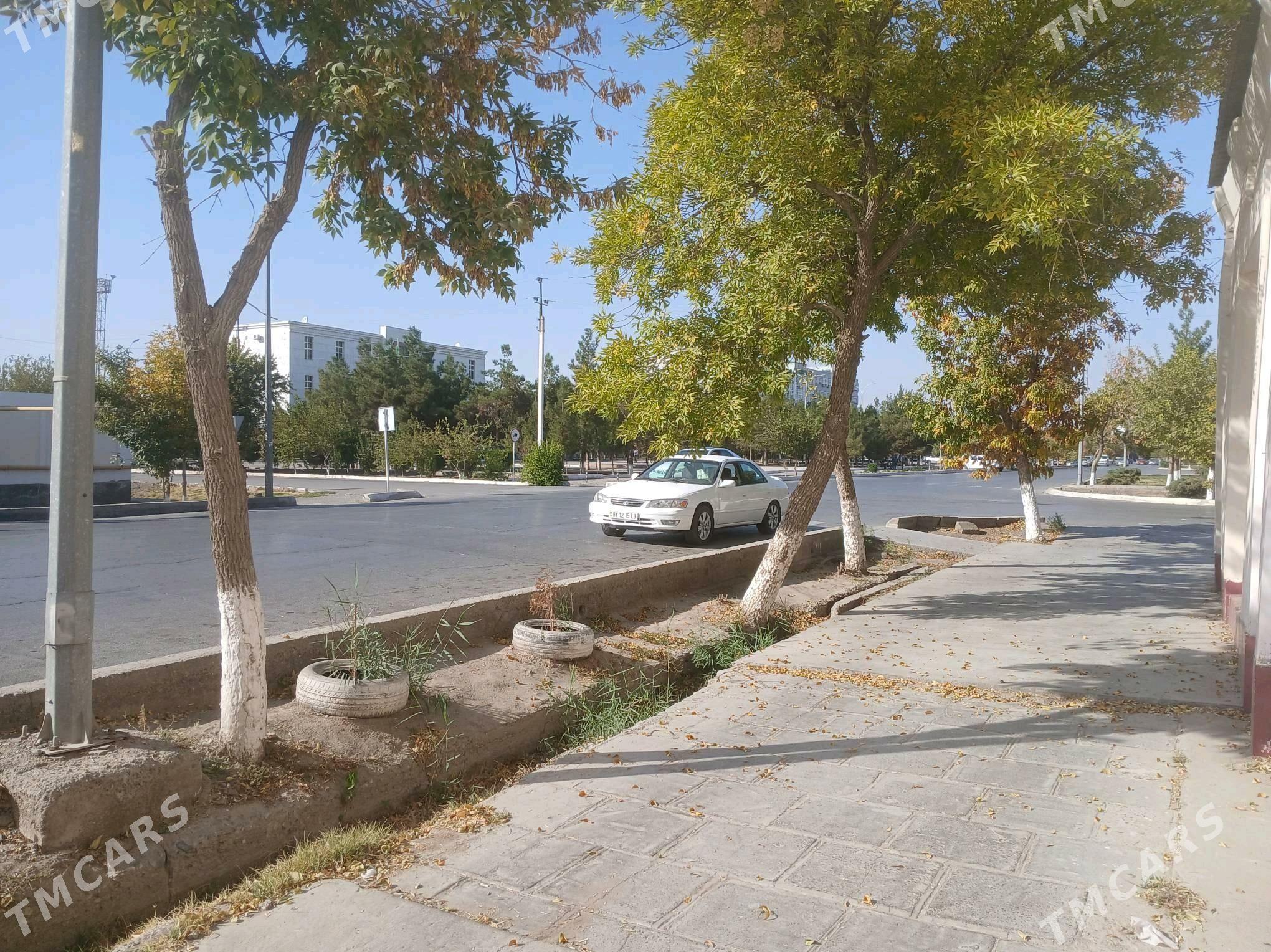 магазин собственный - Туркменабат - img 6