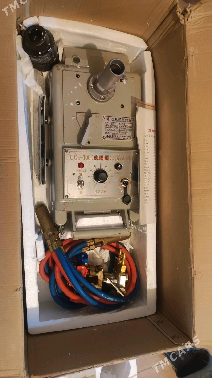 Demir kesyan - Mary - img 4