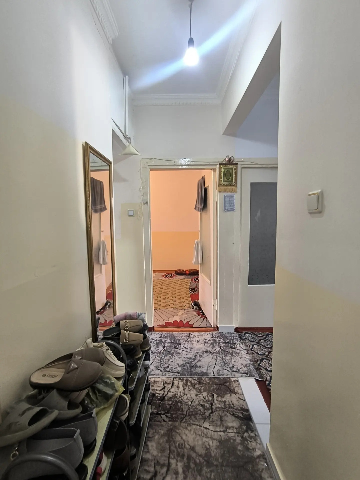 Buzmeyin gires - Büzmeýin GRES - img 5