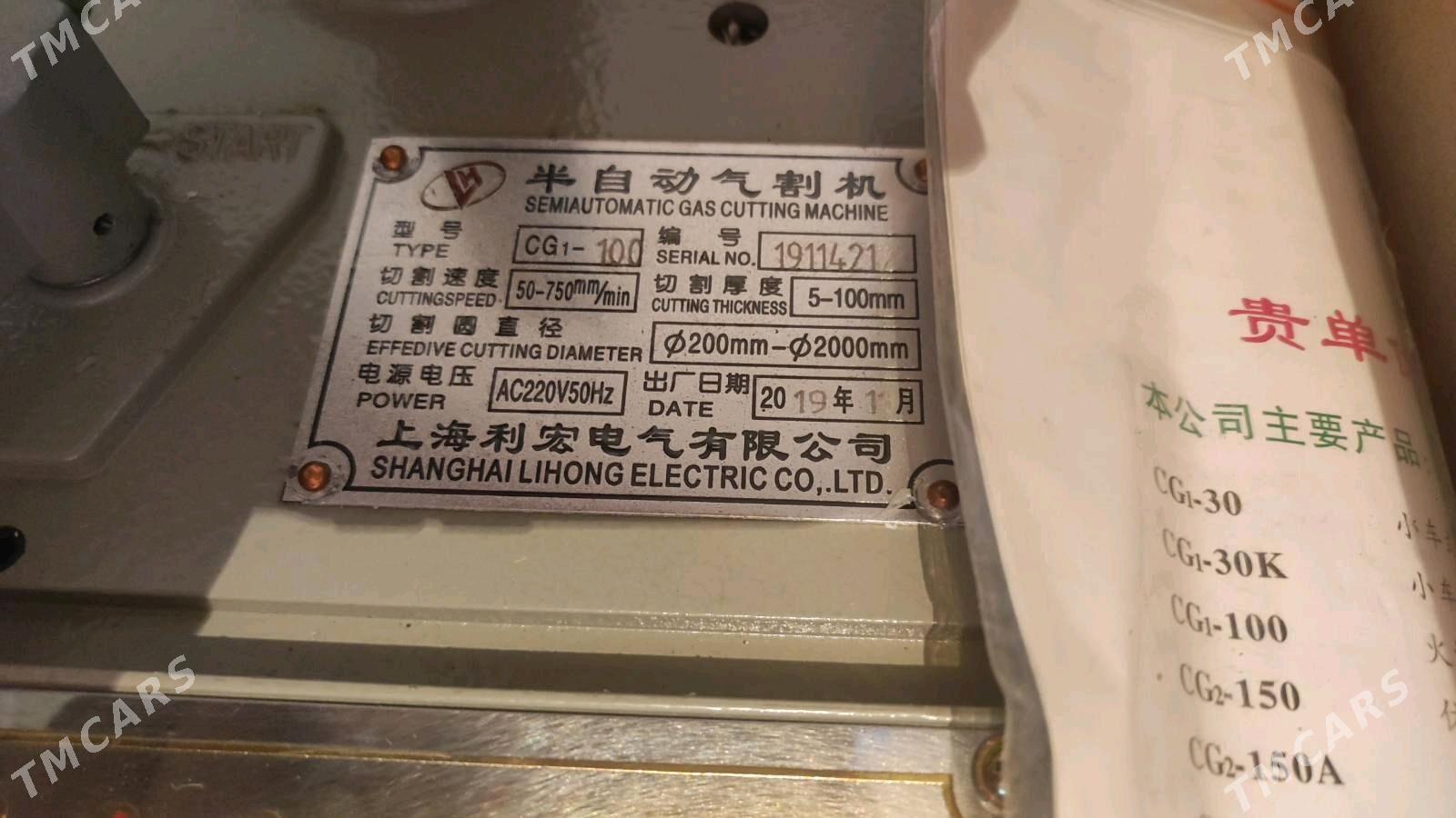 Demir kesyan - Mary - img 3