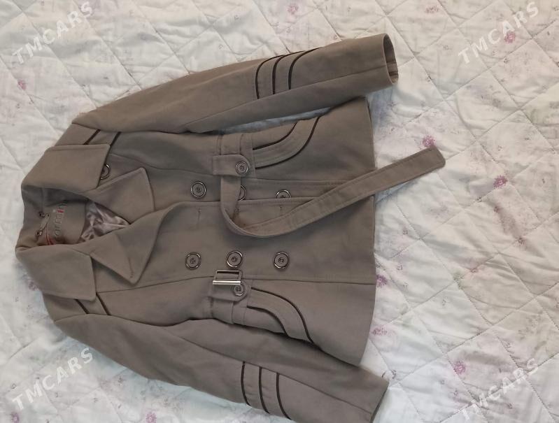 polpalro - Daşoguz - img 2