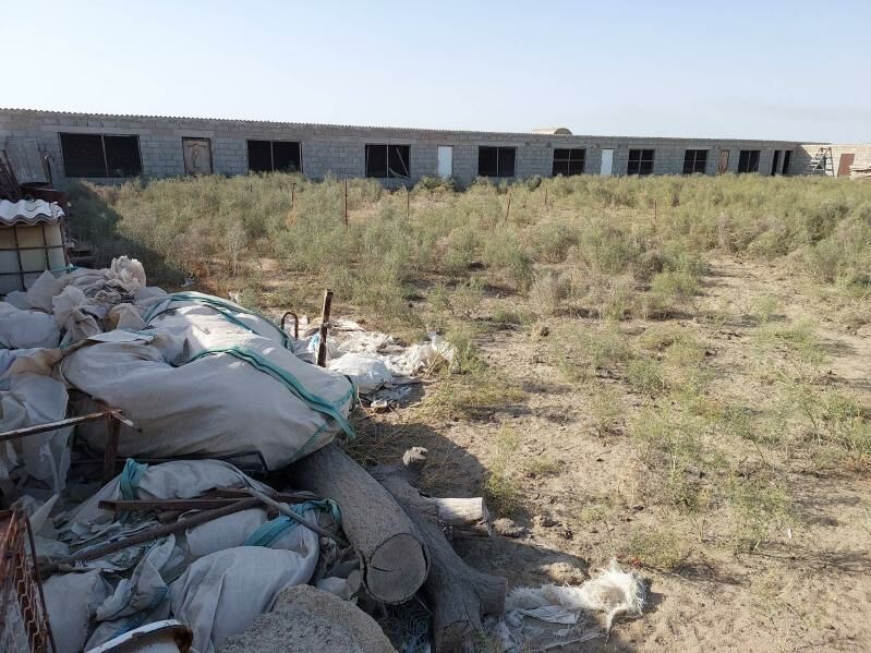 Продаётся фазенда - Хазар - img 2