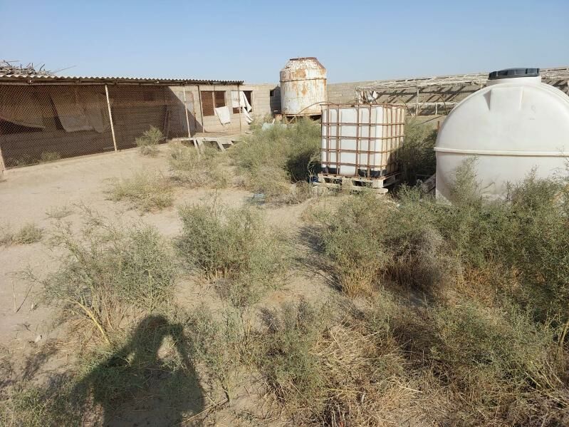 Продаётся фазенда - Хазар - img 6