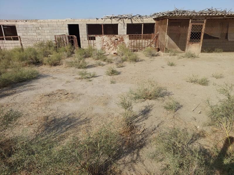 Продаётся фазенда - Хазар - img 7