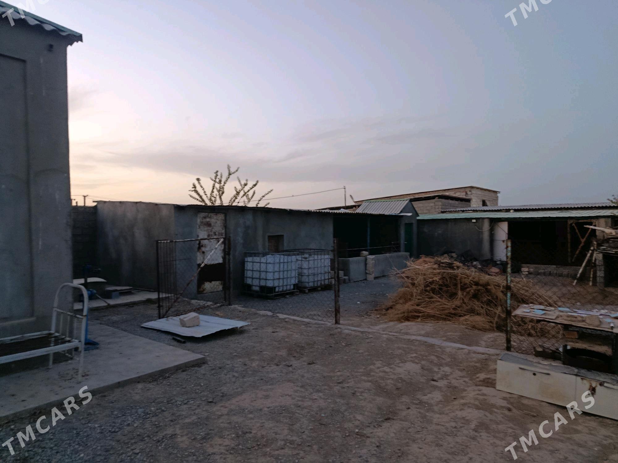 Jay Talhanly - Gökdepe - img 3