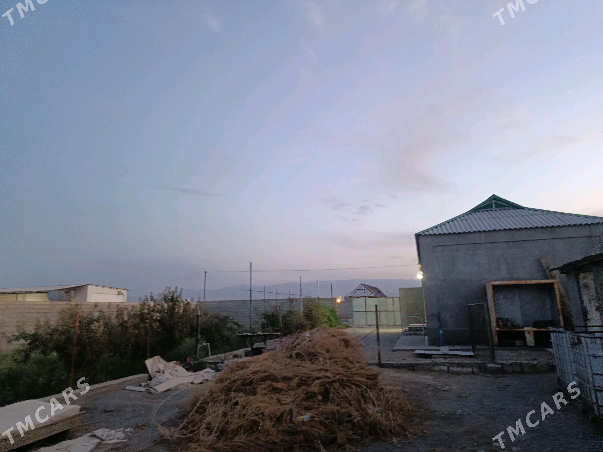 Jay Talhanly - Gökdepe - img 4