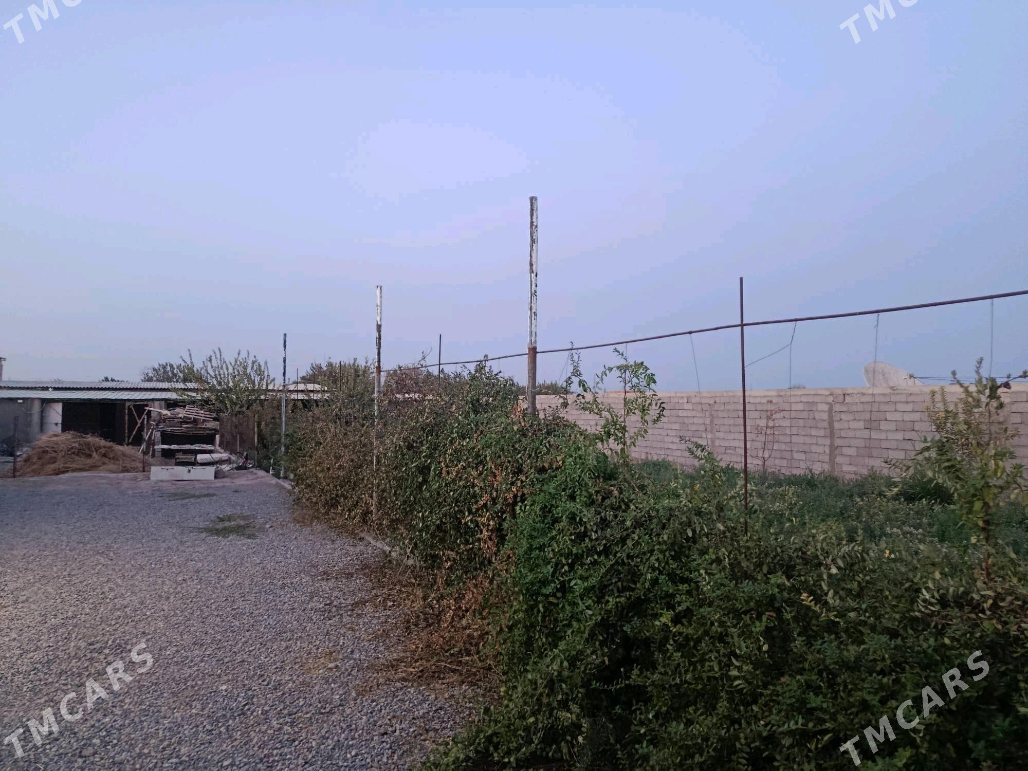 Jay Talhanly - Gökdepe - img 7