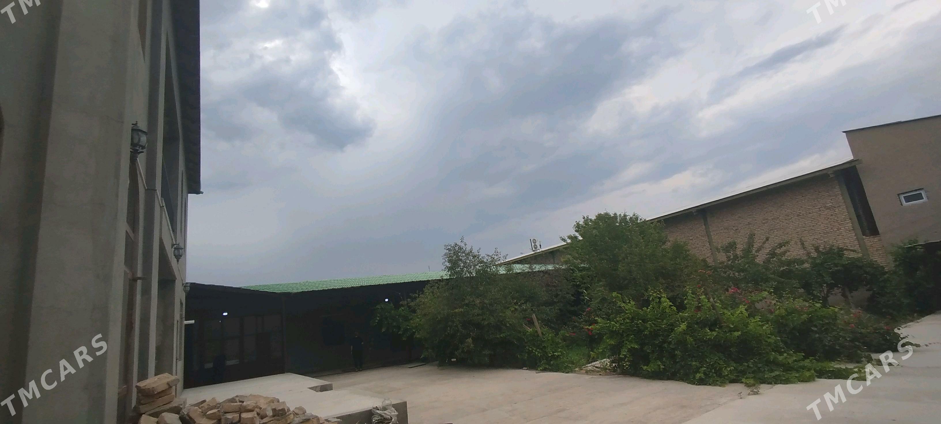 lelin kalhoz 12 sotuk kotej - Туркменабат - img 10