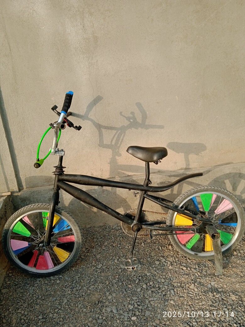 DUGA TİGİR - Gökdepe - img 1