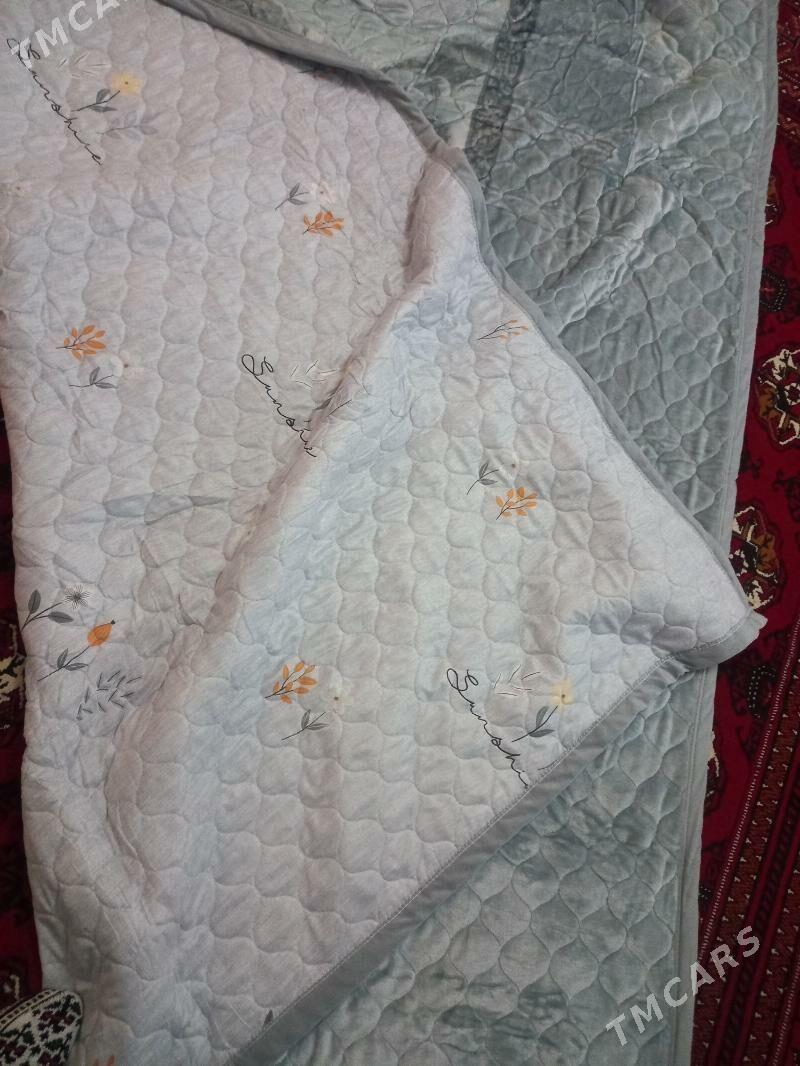 odyallar - Сакар - img 3