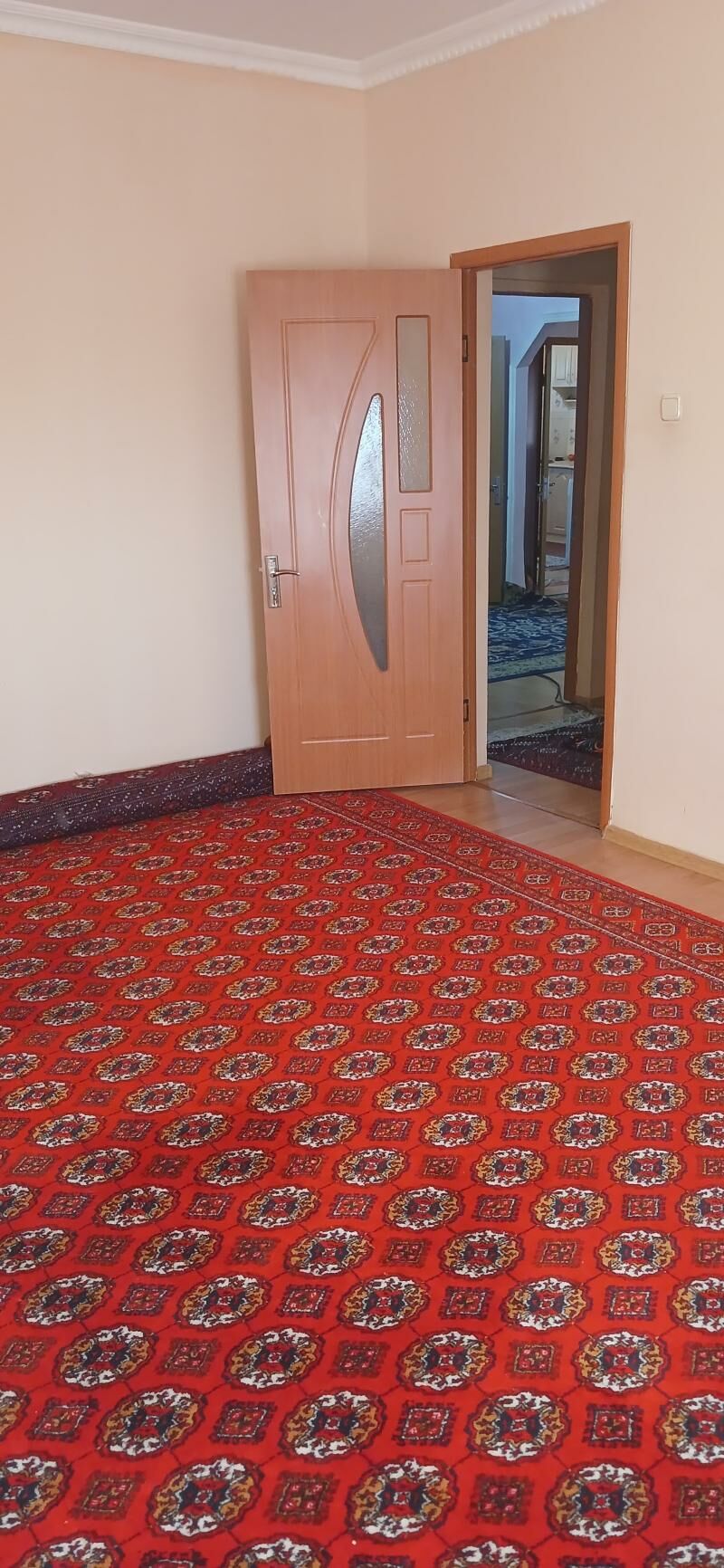 satlyk jay - Daşoguz - img 2