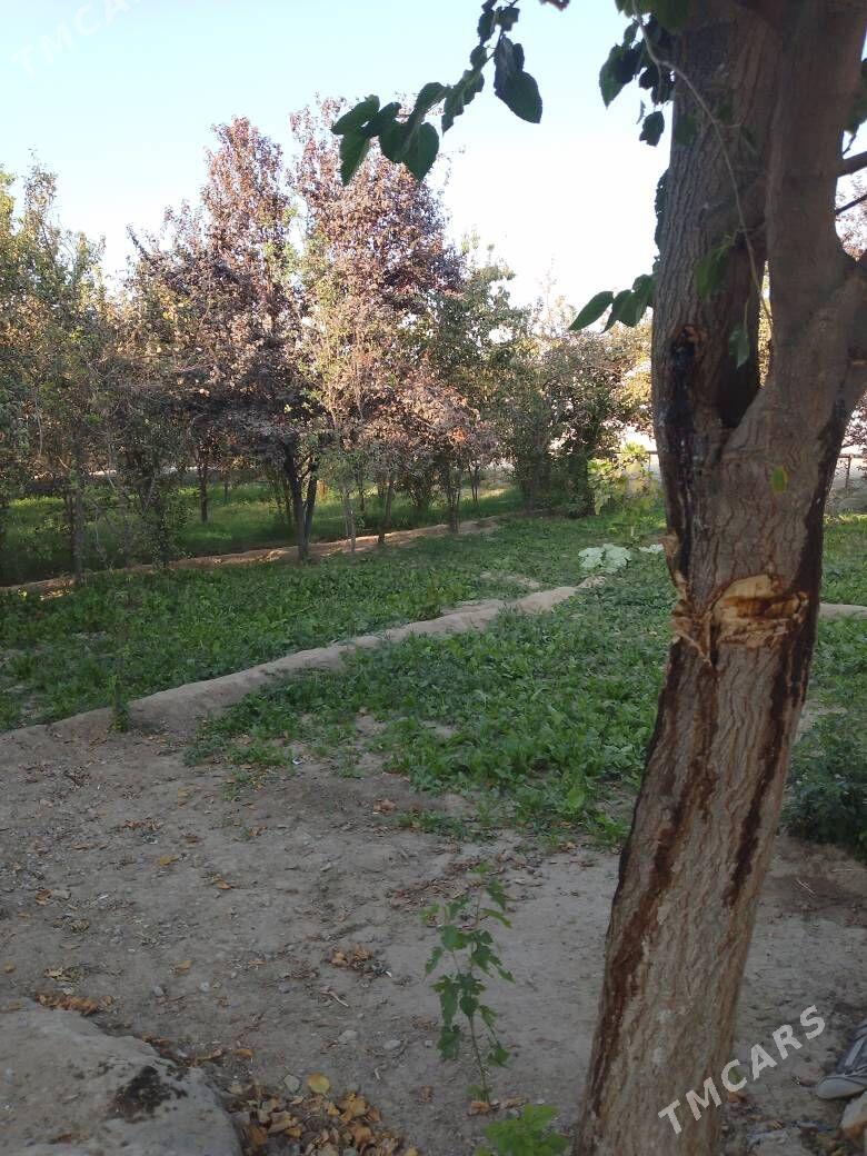 участок - Mary - img 2