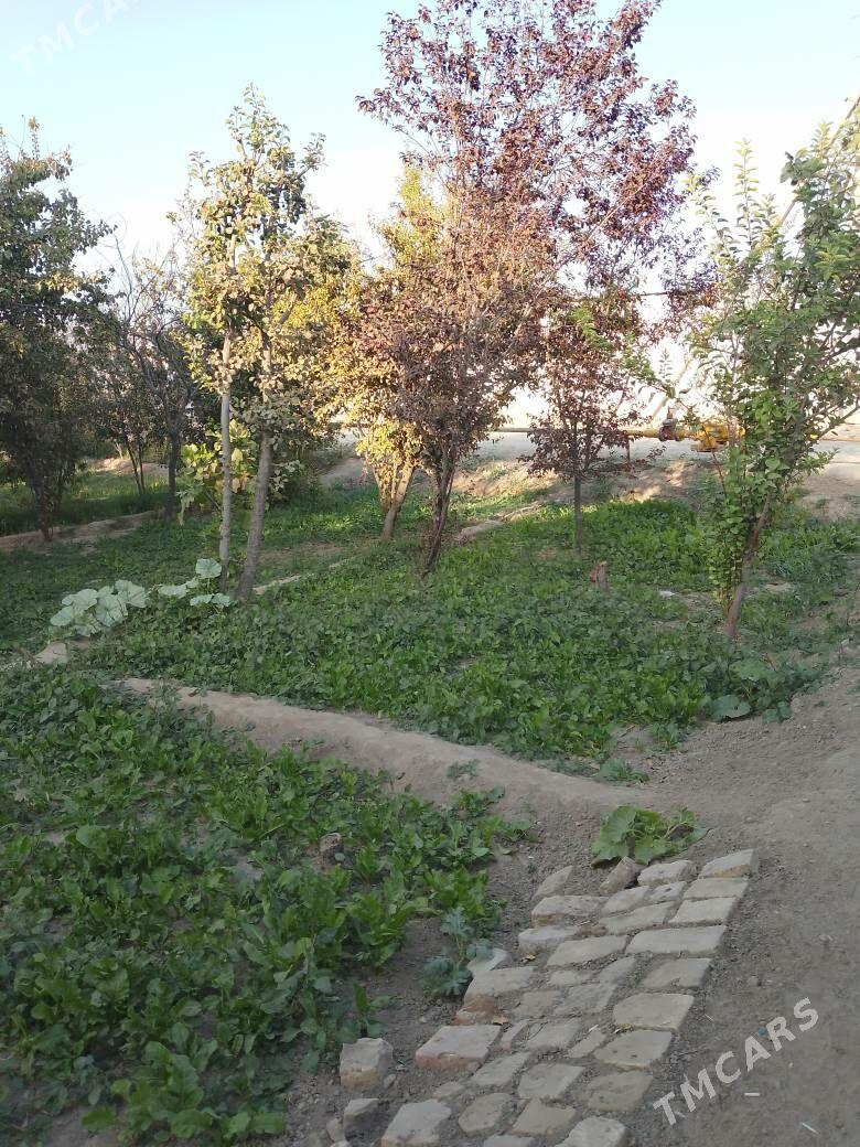 участок - Mary - img 1