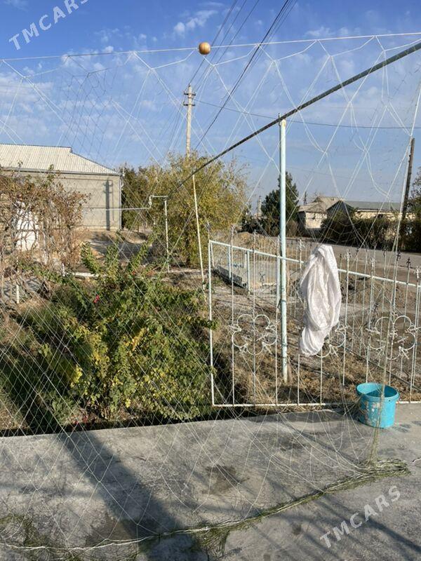 Pylaw tor - Mary - img 3