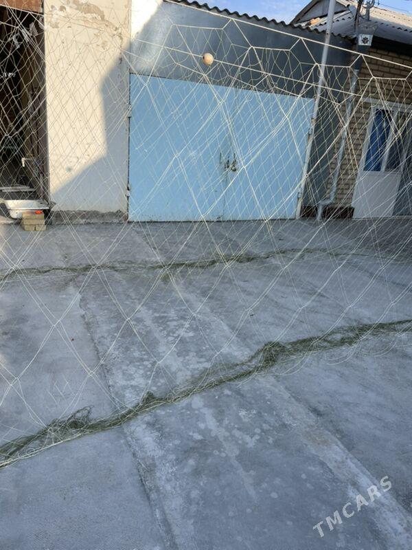 Pylaw tor - Mary - img 5