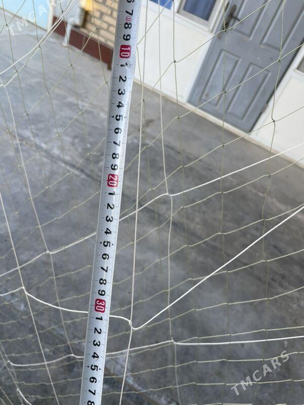 Pylaw tor - Mary - img 1