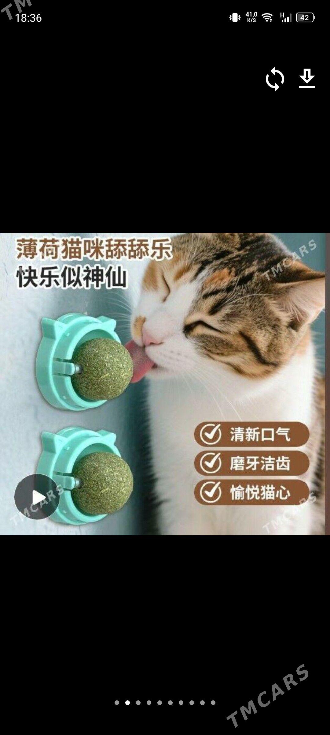 вещи для животных - Мары - img 1