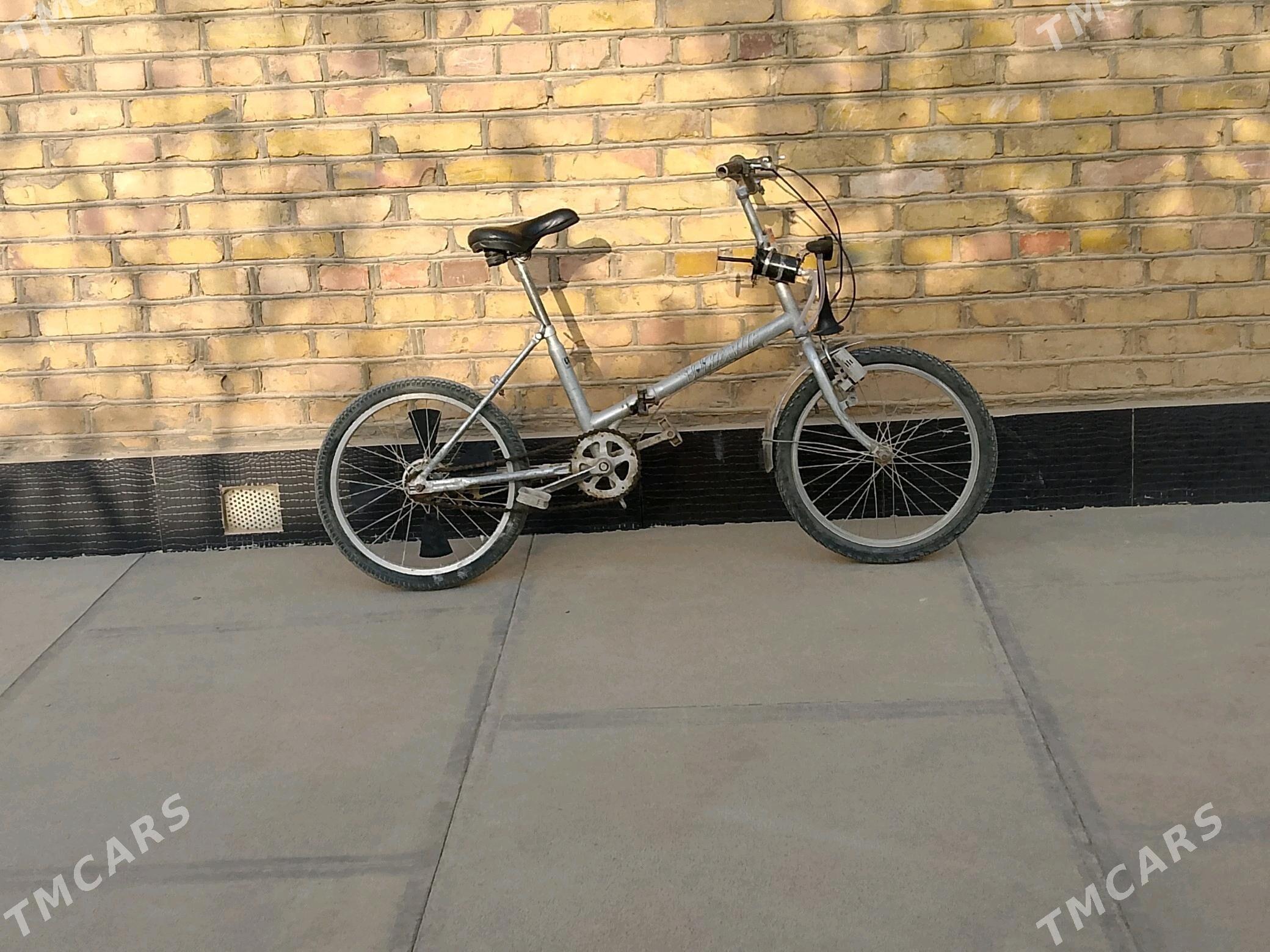 welsoped - Сакарчага - img 2