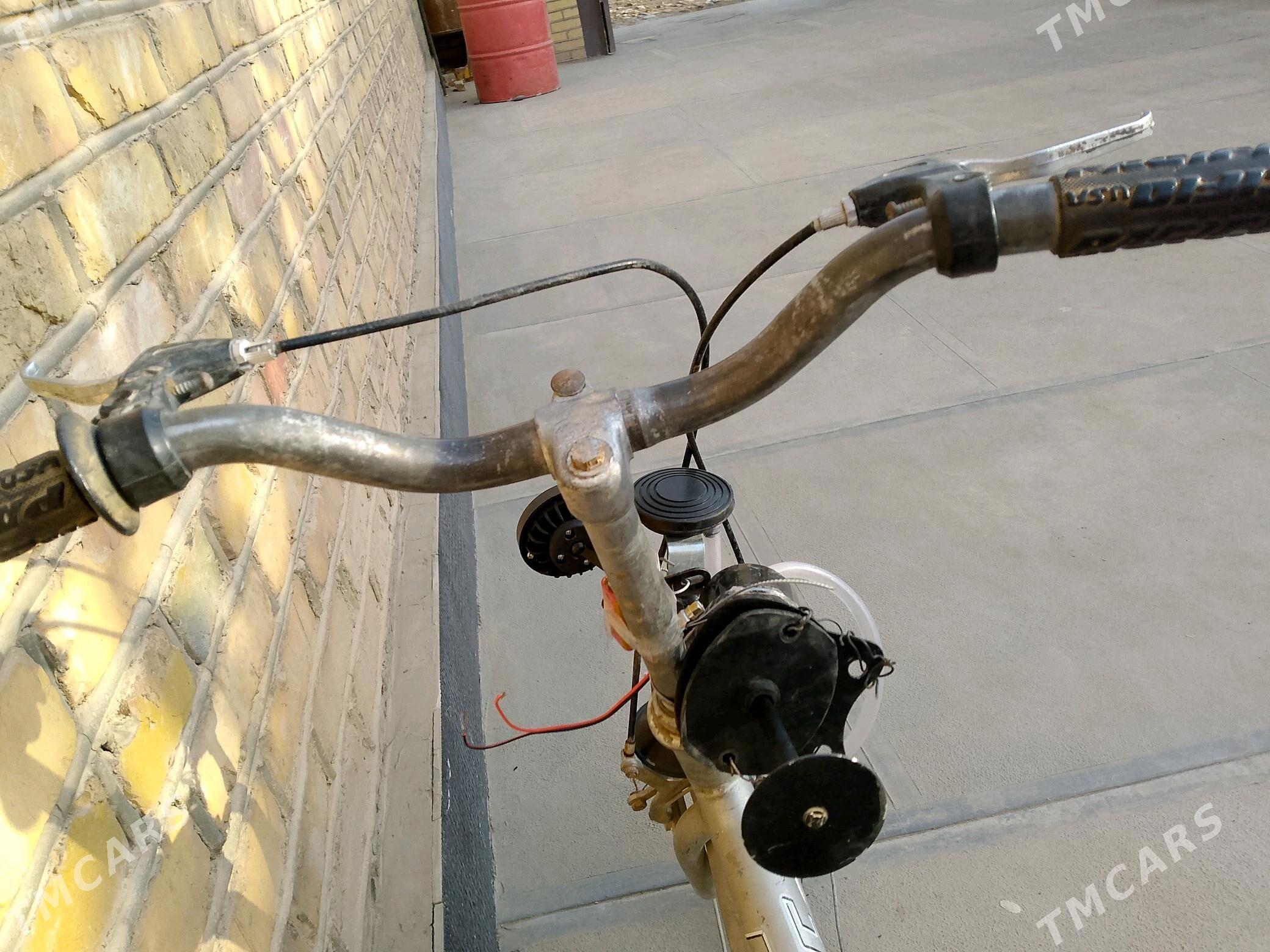 welsoped - Сакарчага - img 3