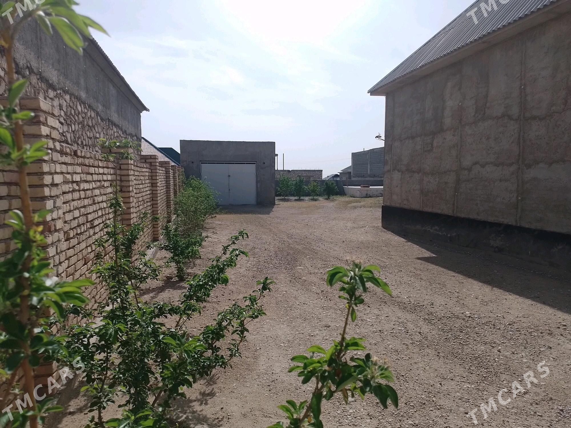 satlyk obmen jay - Balkanabat - img 7