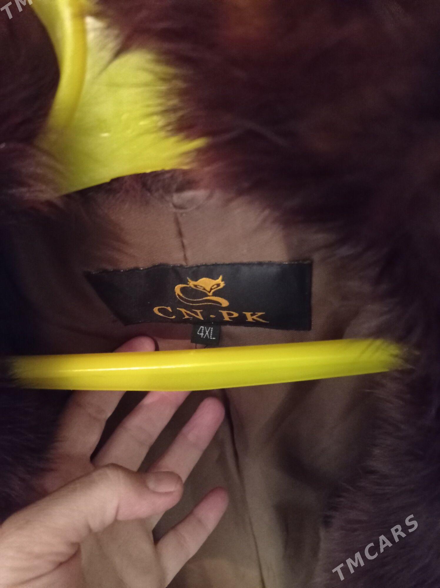 Şuba - Дашогуз - img 2