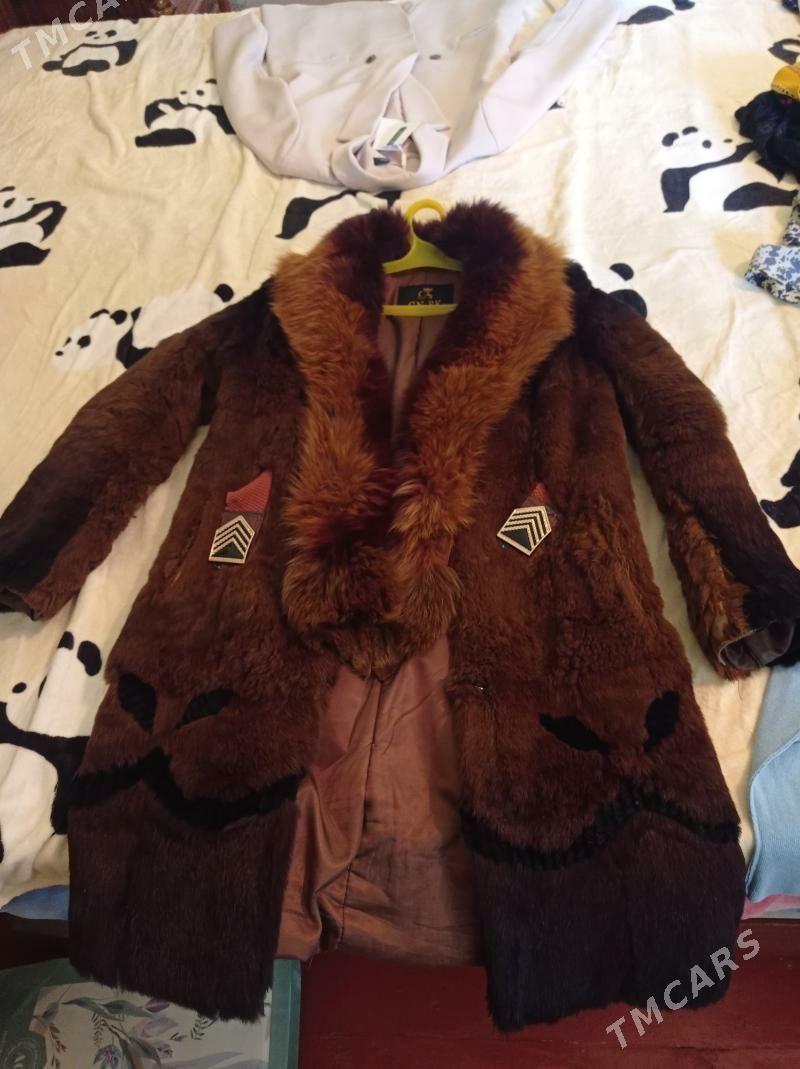 Şuba - Дашогуз - img 3