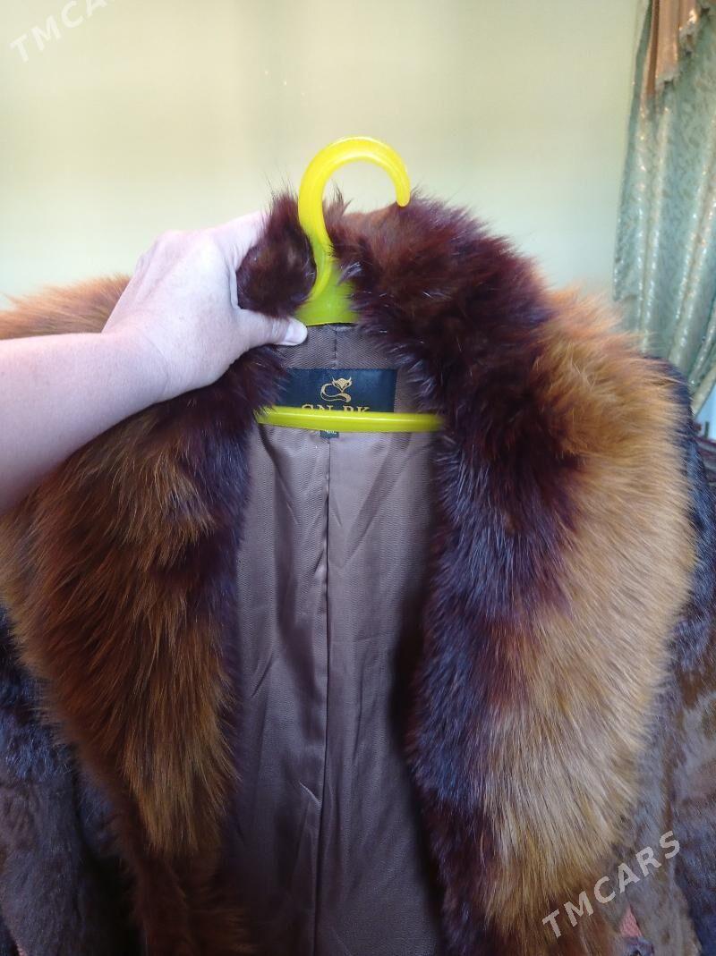 Şuba - Дашогуз - img 6