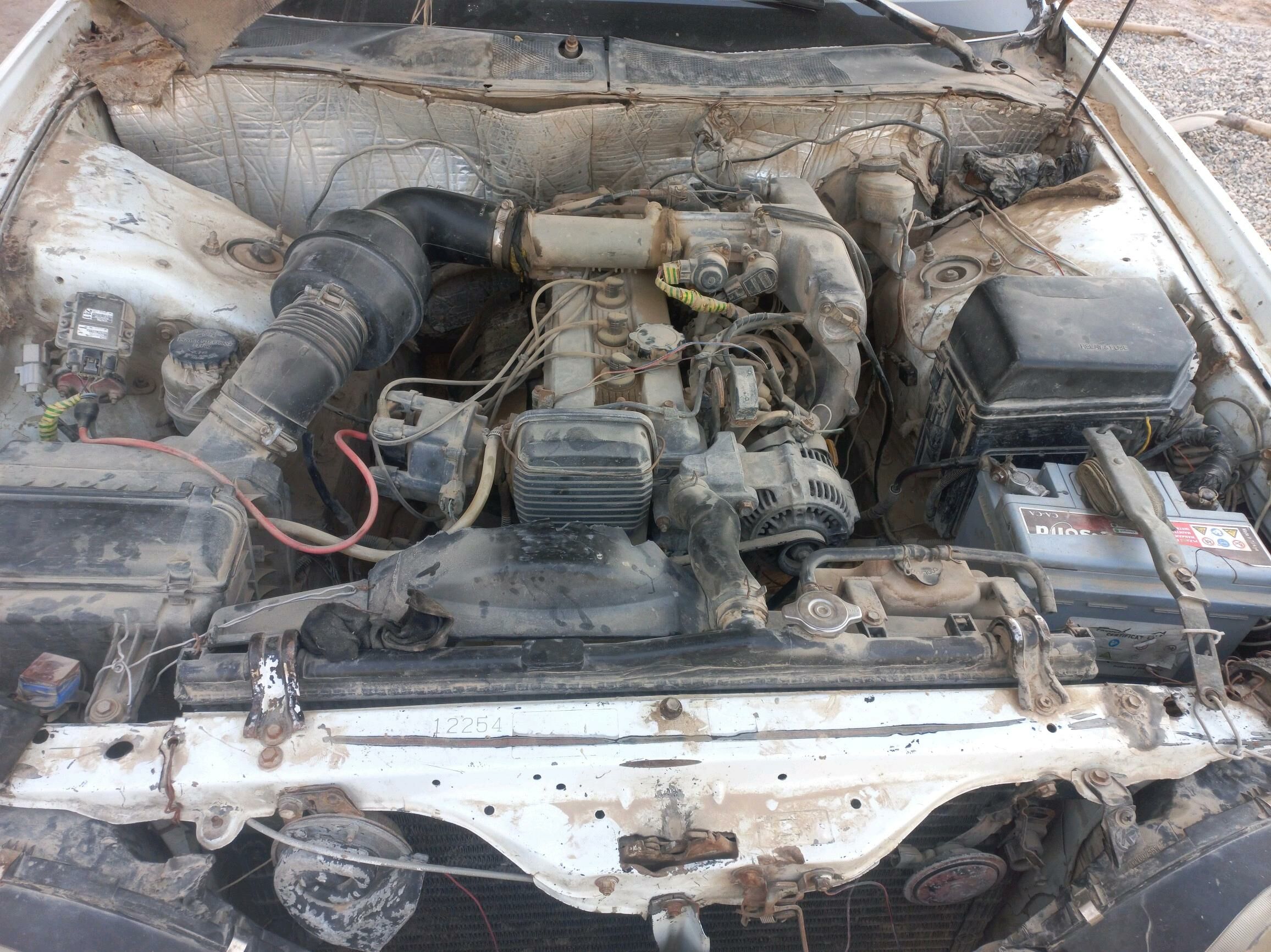 Mark zapcas 777 TMT - Mary - img 2