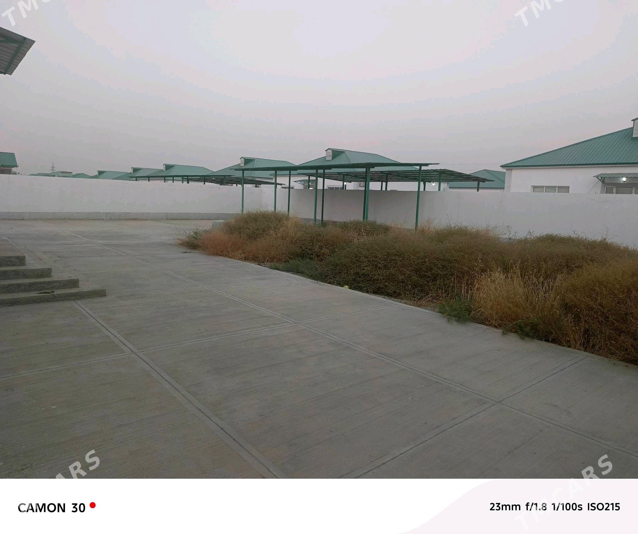 Jay - Гёкдепе - img 6