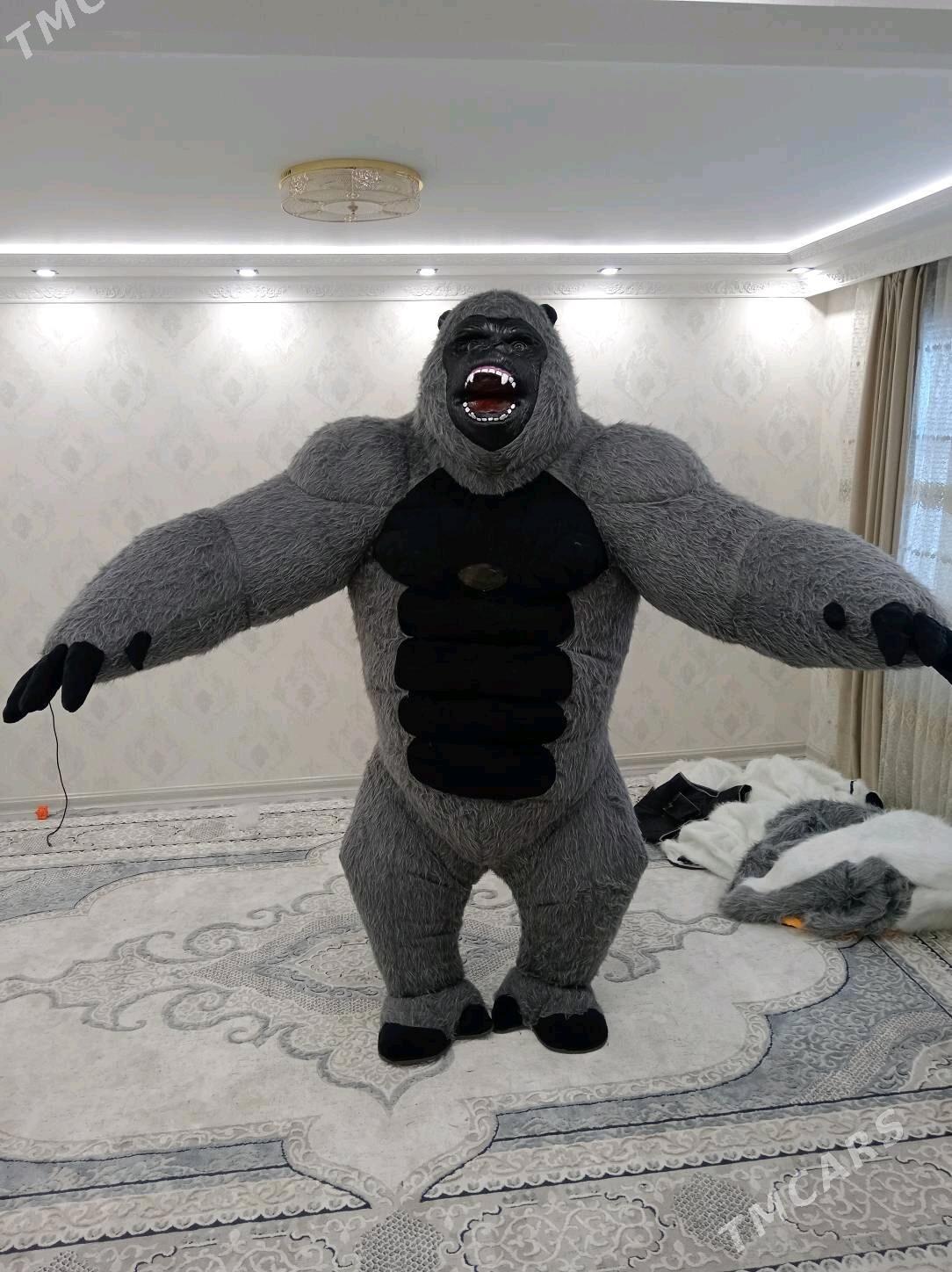 Miska garilla - Büzmeýin - img 4