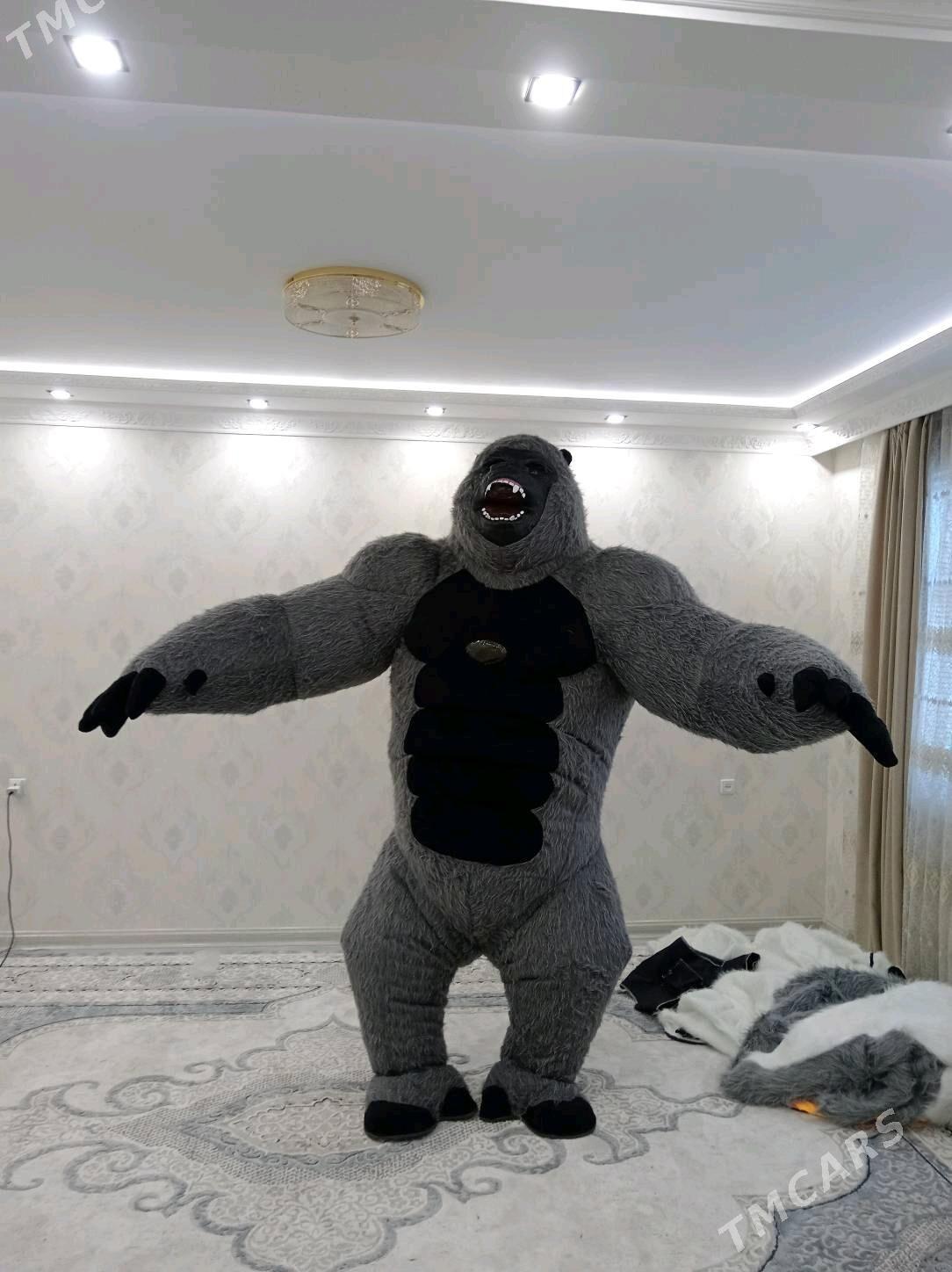 Miska garilla - Büzmeýin - img 2